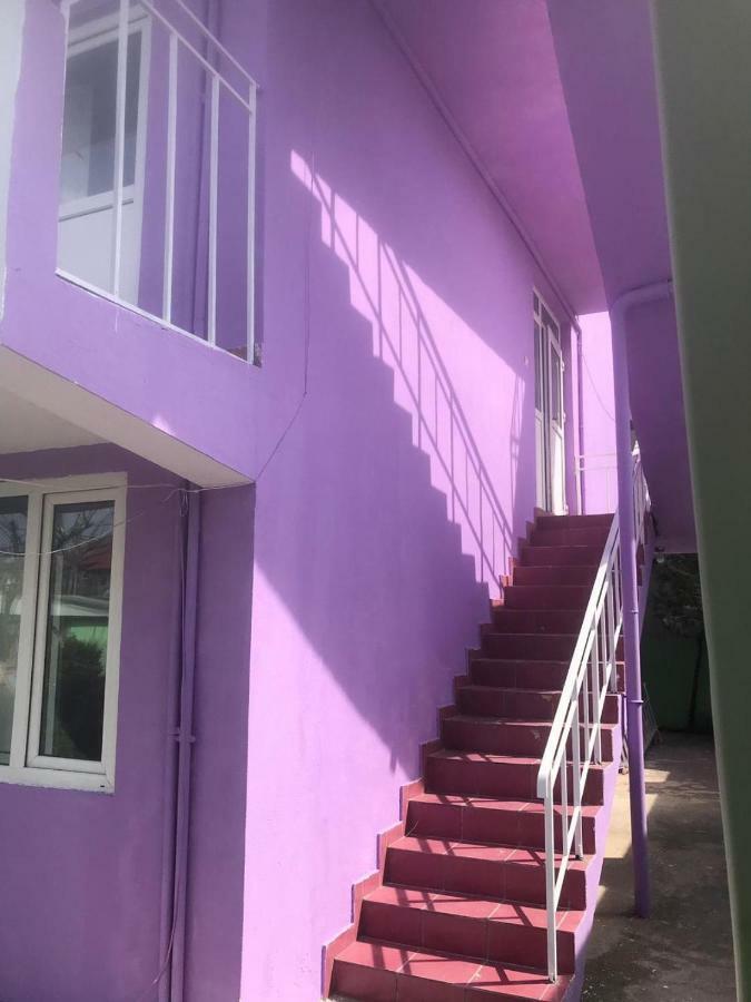 Casa Barbie Costinesti旅舍 外观 照片