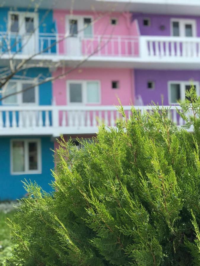 Casa Barbie Costinesti旅舍 外观 照片